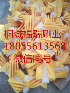 异型刷